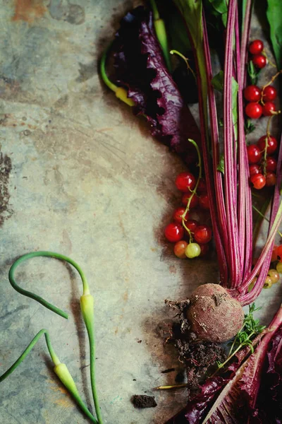 Variety of young vegetables — Stock Photo, Image