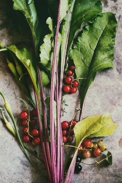 Variedad de verduras jóvenes — Foto de Stock