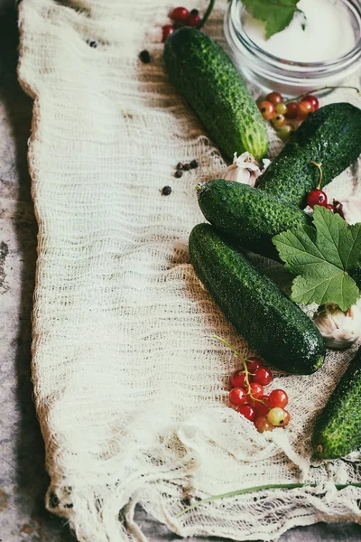 Fresh cucumbers prepared for pickling — Stock Photo, Image