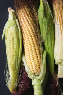 Genç ham mısır koçanı