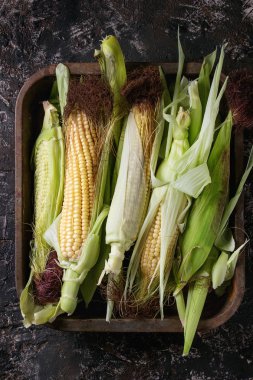 Genç ham mısır koçanı