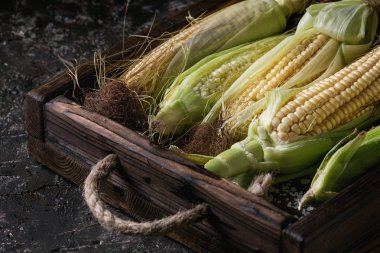 Genç ham mısır koçanı