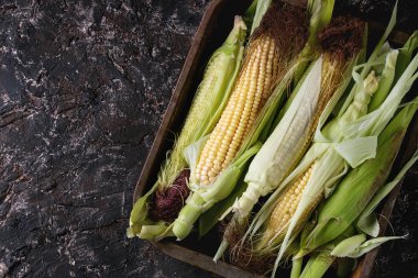 Genç ham mısır koçanı