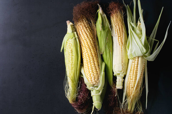 Young raw corn cobs