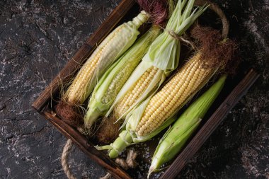 Genç ham mısır koçanı