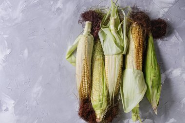 Genç ham mısır koçanı