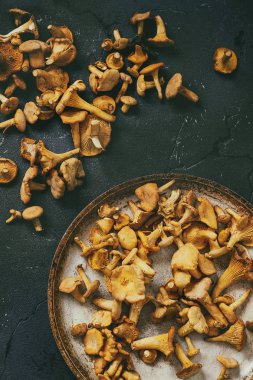 Orman mantar Cantharellus cibarius