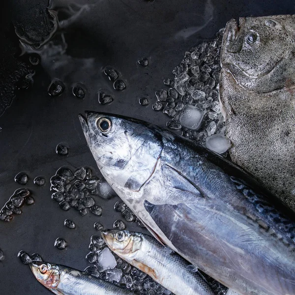 Ton proaspăt crud, hering și pește flounder — Fotografie, imagine de stoc