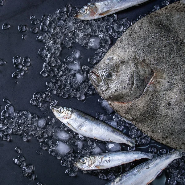 Atum fresco em bruto, arenque e solha — Fotografia de Stock