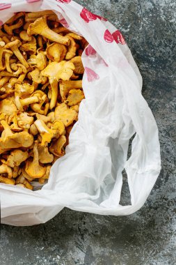 Orman mantar Cantharellus cibarius