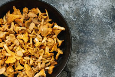 Orman mantar Cantharellus cibarius