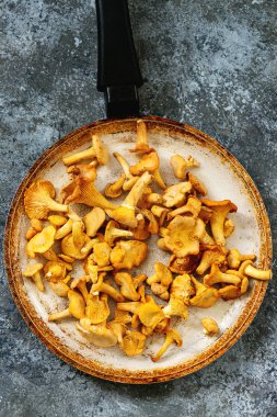 Orman mantar Cantharellus cibarius