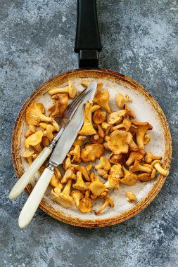 Orman mantar Cantharellus cibarius