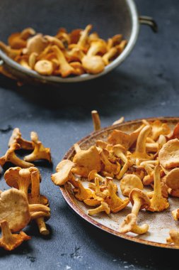 Orman mantar Cantharellus cibarius