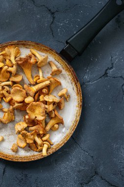 Orman mantar Cantharellus cibarius