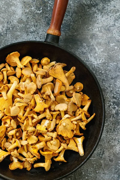 Orman mantar Cantharellus cibarius