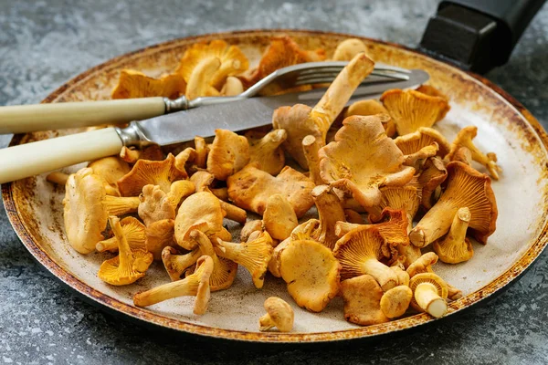 Orman mantar Cantharellus cibarius