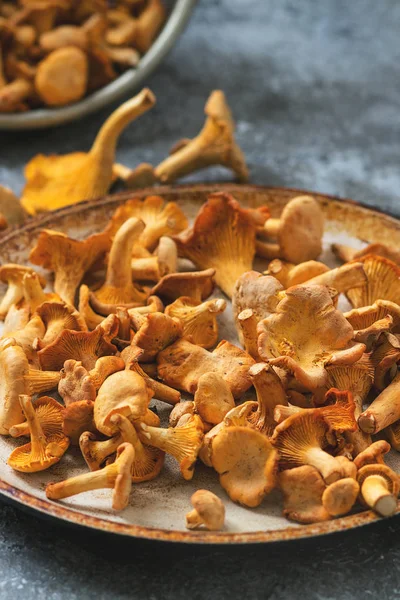 Orman mantar Cantharellus cibarius