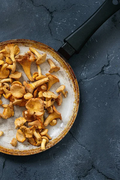 Orman mantar Cantharellus cibarius