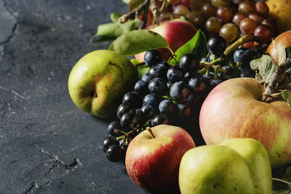 Різноманітність осінніх фруктів — стокове фото