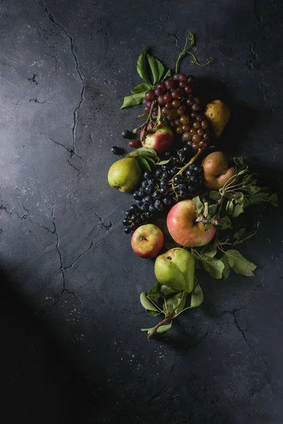 Variedade de frutos de outono — Fotografia de Stock