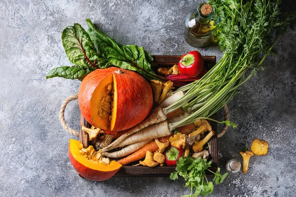 Variety of autumn harvest vegetables — Stock Photo, Image