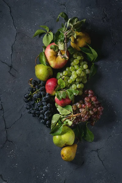 Variedad de frutas de otoño — Foto de Stock