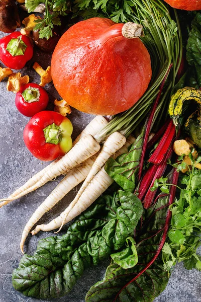 Variety of autumn harvest vegetables — Stock Photo, Image