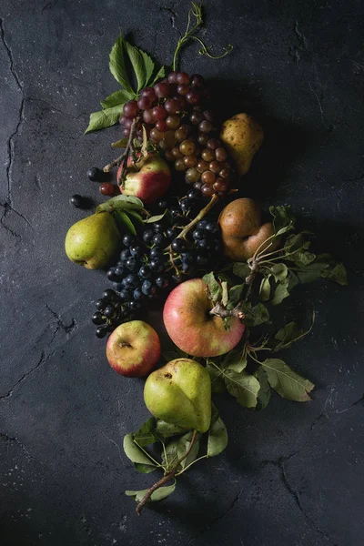 Różne owoce jesieni — Zdjęcie stockowe