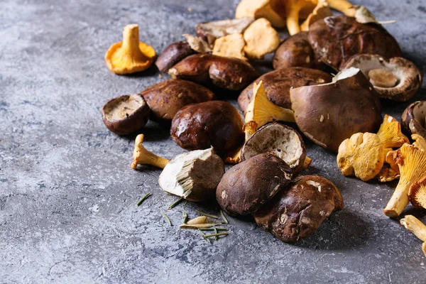 Porcini boletus and chanterelles mushrooms — Stock Photo, Image