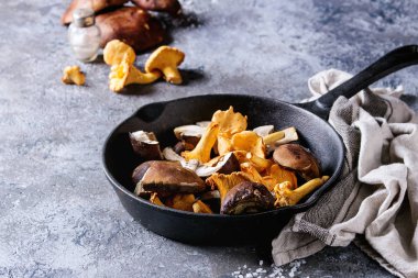 Porcini boletus ve chanterelles mantar
