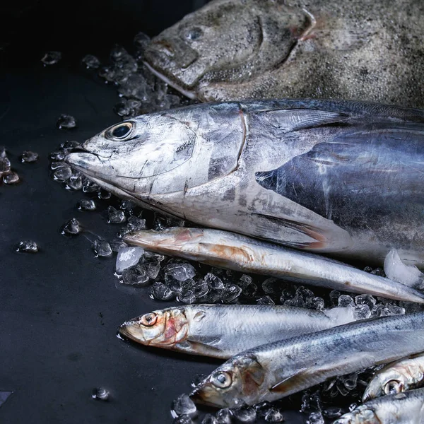 Surowe ryby świeżego tuńczyka, śledzie i flądry — Zdjęcie stockowe