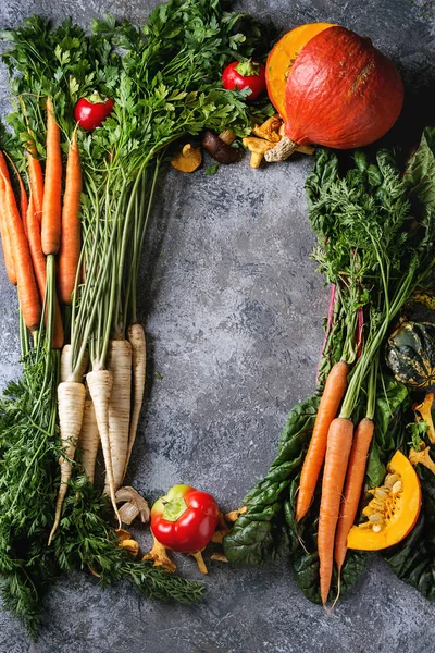 Gemüsevielfalt bei der Herbsternte — Stockfoto