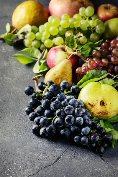 Многообразие осенних фруктов — стоковое фото