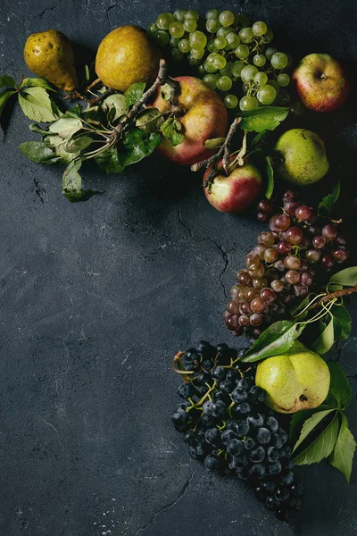 Variety of autumn fruits — Stock Photo, Image