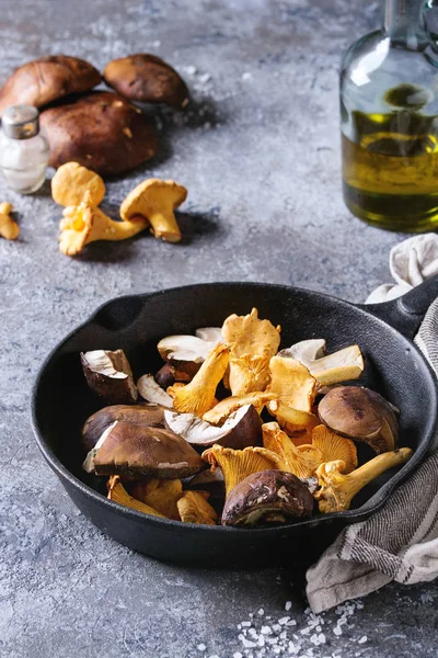 Porcini boletus ve chanterelles mantar