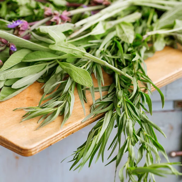 Çeşitli Bahçe otlar