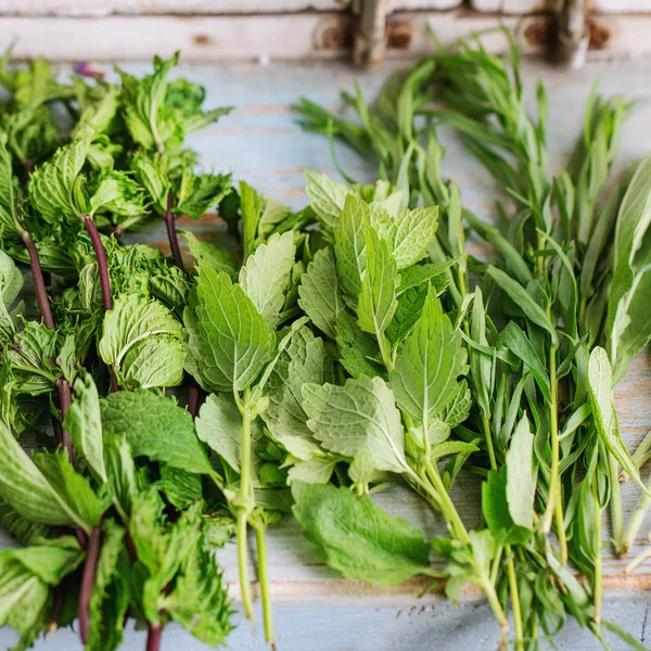 Çeşitli Bahçe otlar