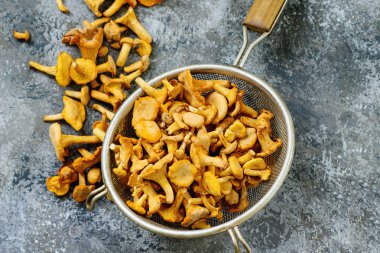 Orman mantar Cantharellus cibarius