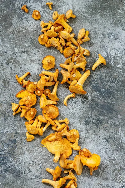 Leśne grzyby kurkowym — Zdjęcie stockowe