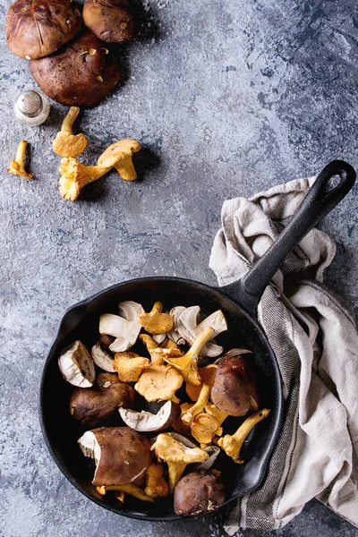 Cogumelos Porcini boletus e chanterelles — Fotografia de Stock