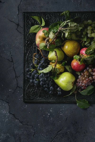 Variedad de frutas de otoño — Foto de Stock
