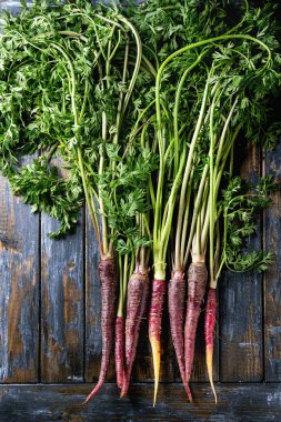 Bohça-in mor havuç