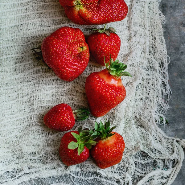 Fresas para mermelada — Foto de Stock