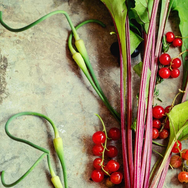 Variedad de verduras jóvenes — Foto de Stock