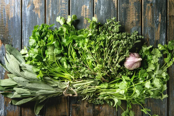 Variety of herbs — Stock Photo, Image
