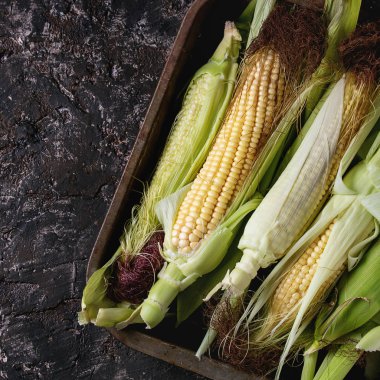 Genç ham mısır koçanı