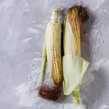 Genç ham mısır koçanı