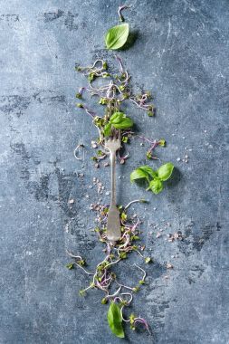 Genç tuz ile lahanası