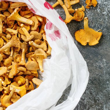 Orman mantar Cantharellus cibarius